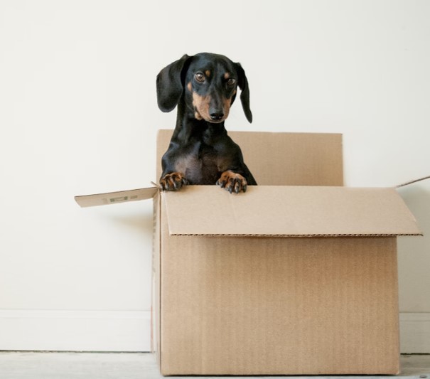 ootb Out of the Box Enterprise Search